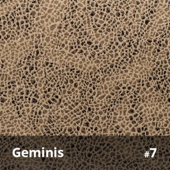 Geminis 7